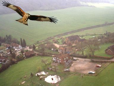 red kite over three horseshoes