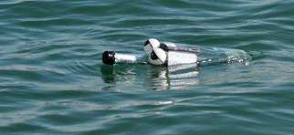 Harry Hampshire, the GPS bottle, having a swim
