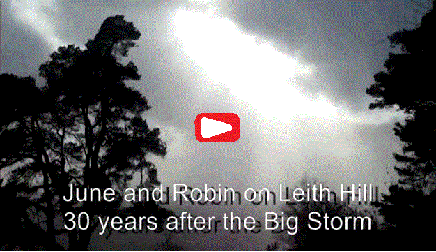 June and Robin on Leith Hill video