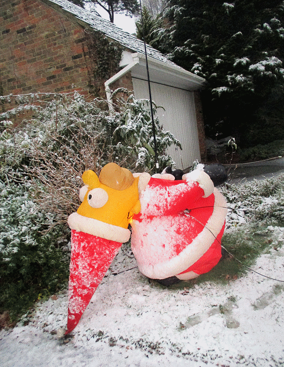 Homer in Snow on 10th December 2017