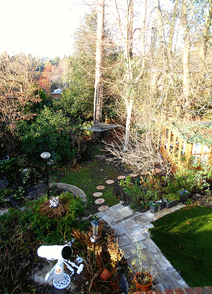 Back Garden from roof